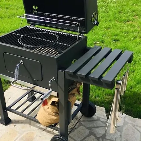 вълнара Willa