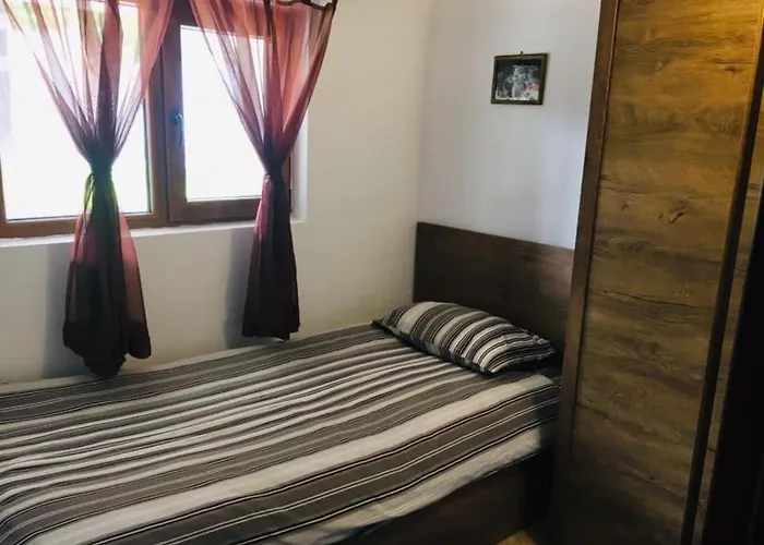 вълнара Willa *